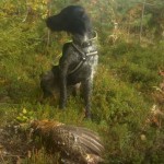 Ebba