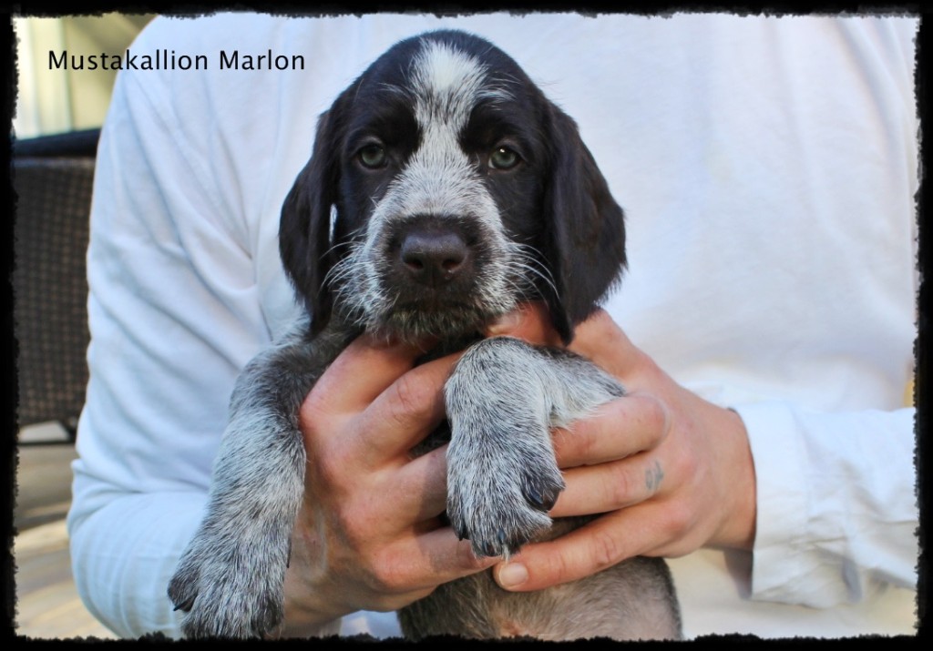 Marlon