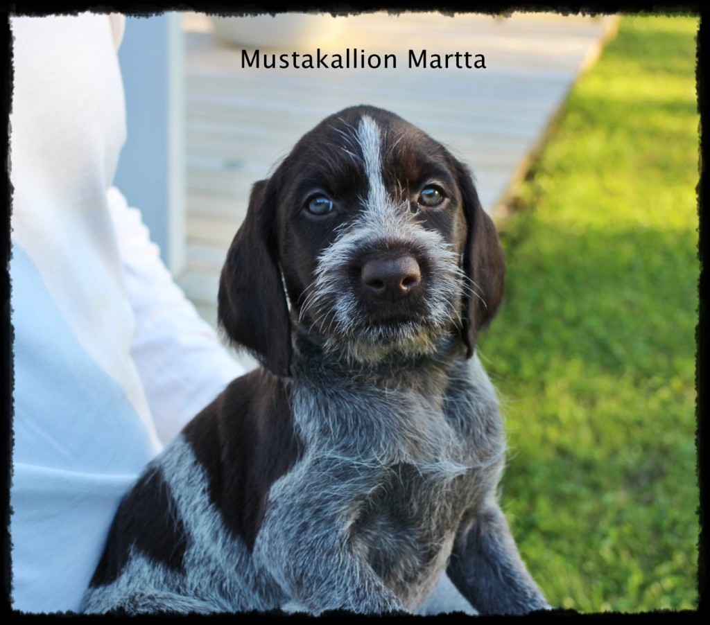 Martta